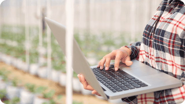 Agricultora usa notebook em sua estufa