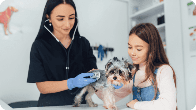 Uma jovem veterinária examinando um cachorrinho